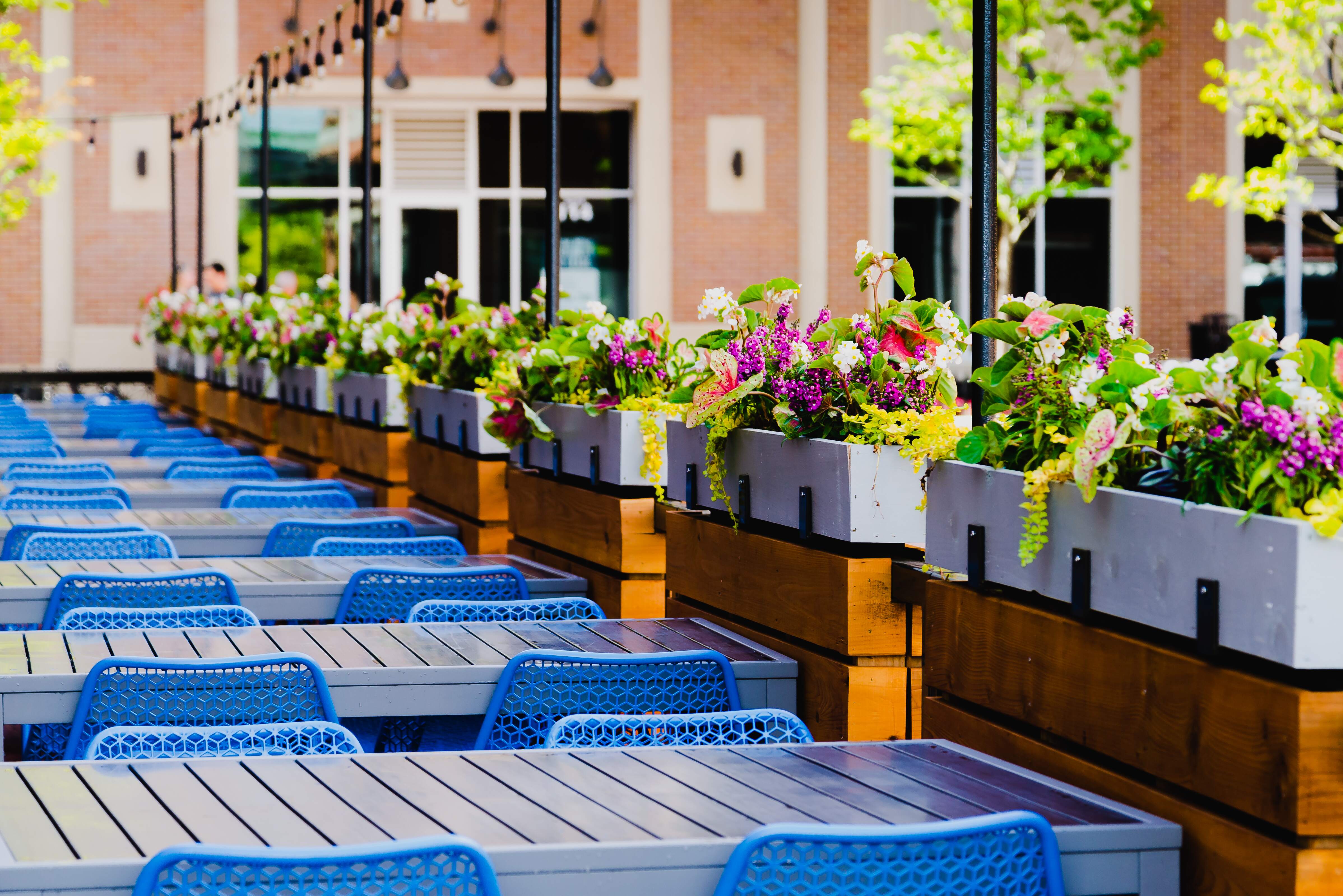 Outdoor patio at Blue Sushi Sake Grill. 